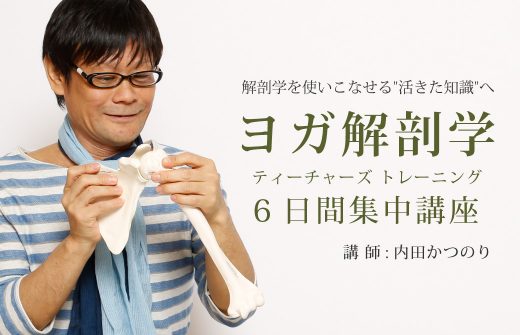 ヨガ解剖学ティーチャーズ トレーニング