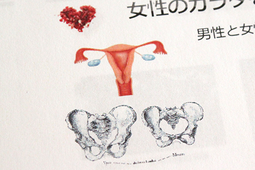 子宮と卵巣