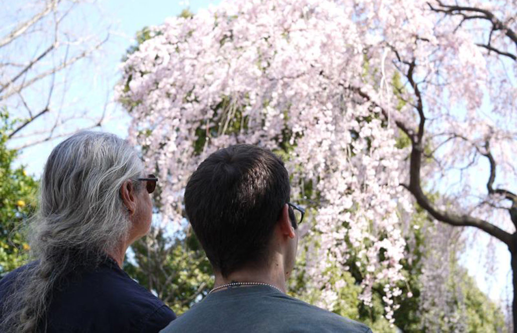 ジェイ・ブラウンとマーク・ウィットウェルが桜を見ている様子