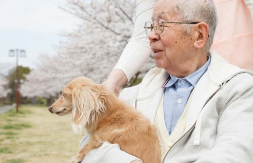 犬を抱く高齢者