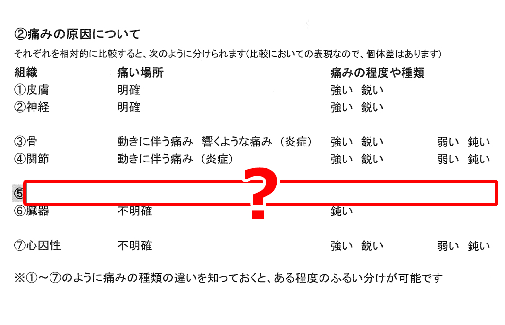 ヨガ解剖学講師内田かつのり先生の講座「骨盤セラピー」のテキストの一部