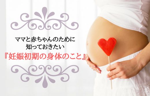 ママと赤ちゃんのために知っておきたい妊娠初期の身体のこと