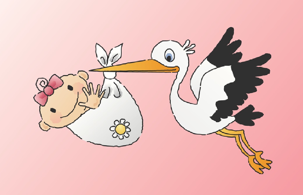 赤ちゃんとコウノトリ