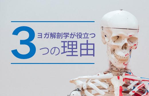 解剖学が役立つ3つの理由