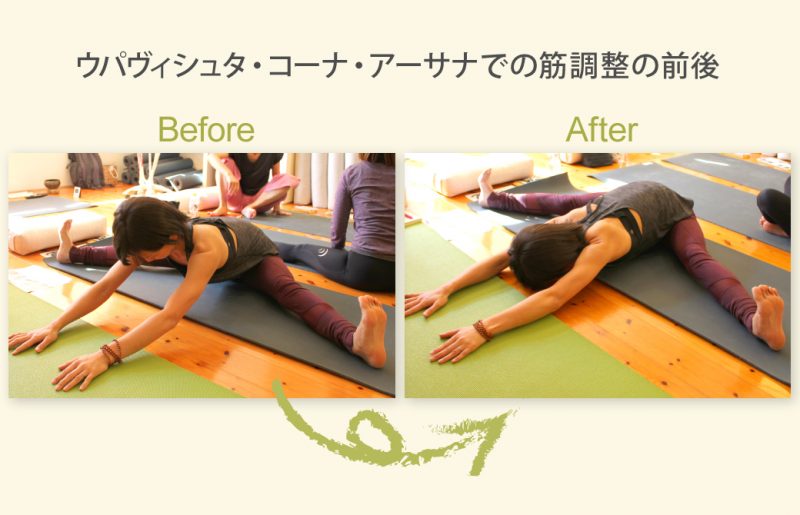 筋調整ヨガ:指導者対象のスキルアップ講座
