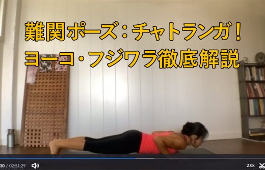ヨーコ・フジワラチャトランガを徹底解説