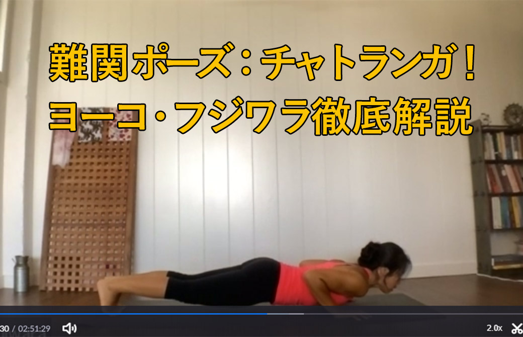 ヨーコ・フジワラチャトランガを徹底解説