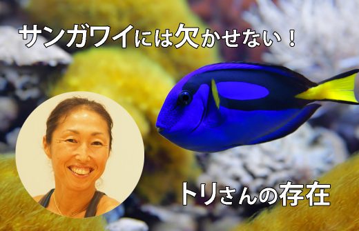トリさんと青ハギ