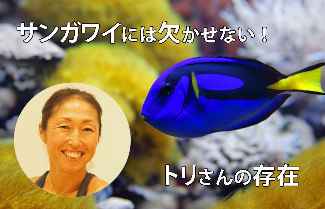 トリさんと青ハギ