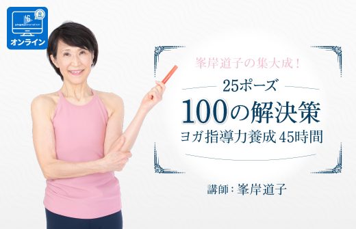 25ポーズ100の解決策