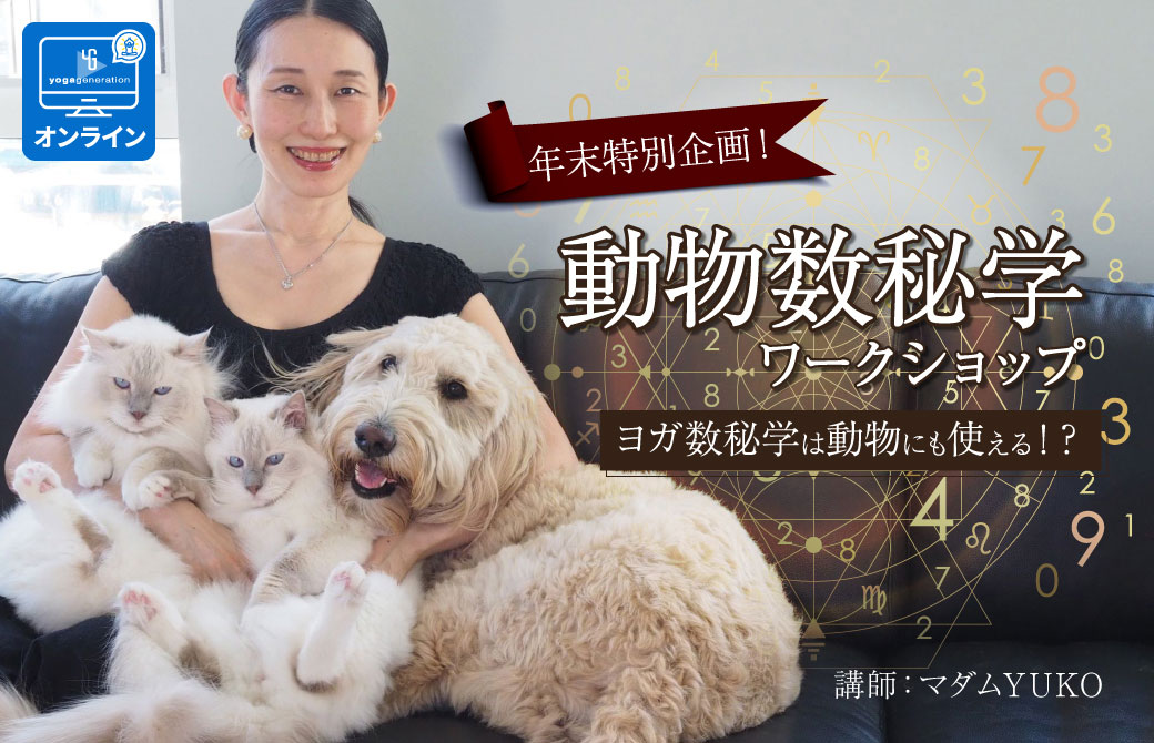 マダムYUKOとサブロー＆トトロ＆ヒナ