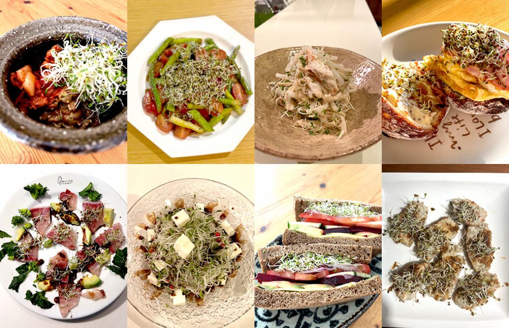 スプラウト料理
