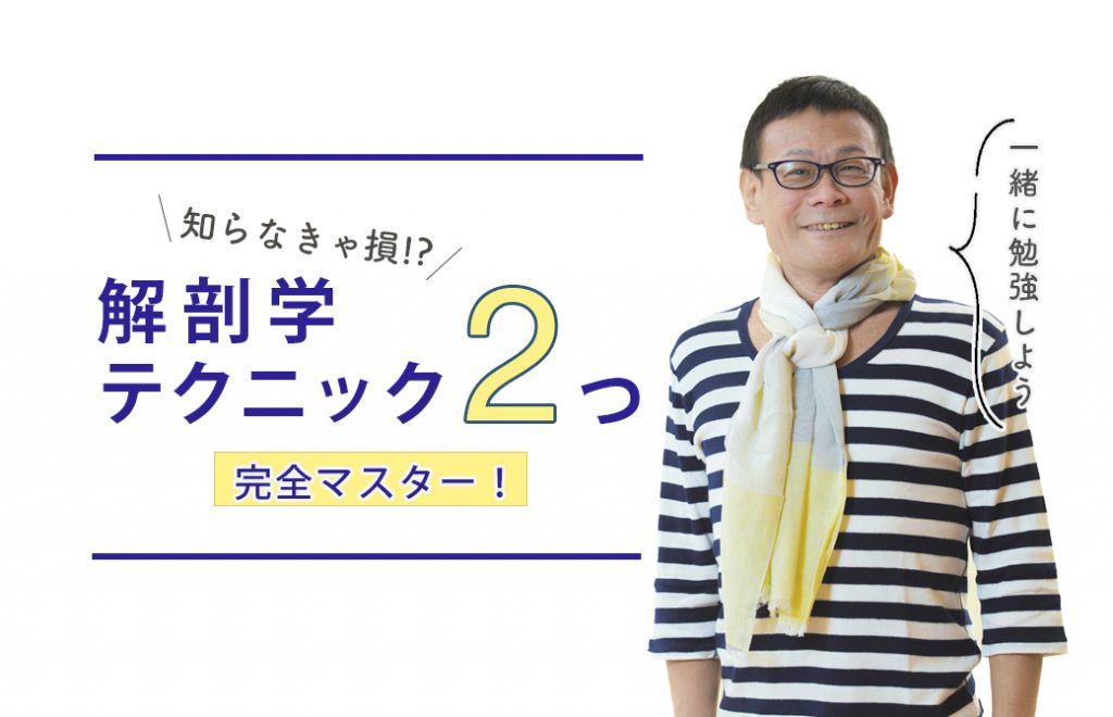 内田先生骨筋画像