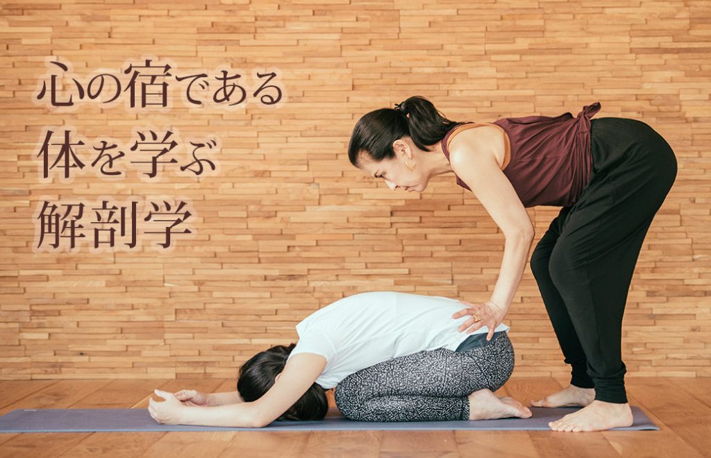 マック久美子先生がアジャストしている写真