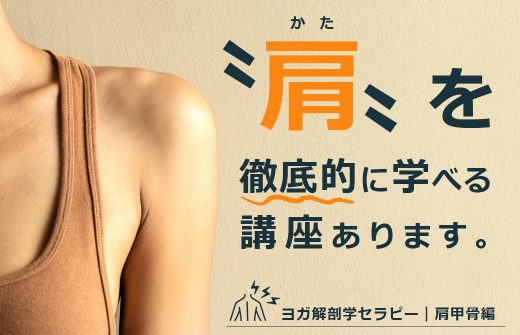 肩甲骨記事TOP