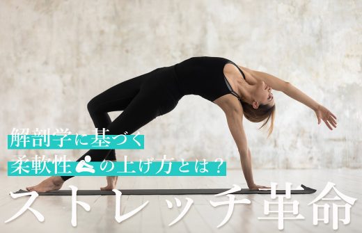 解剖学に基づく柔軟性を上げる方法げる