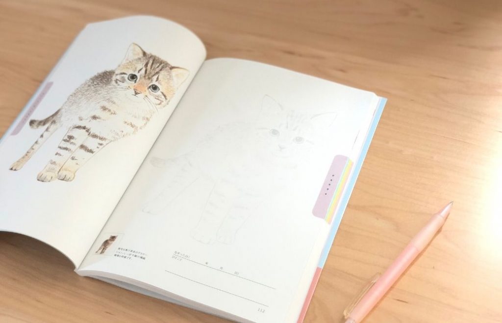 カラーの猫のなぞり絵の見開きページ