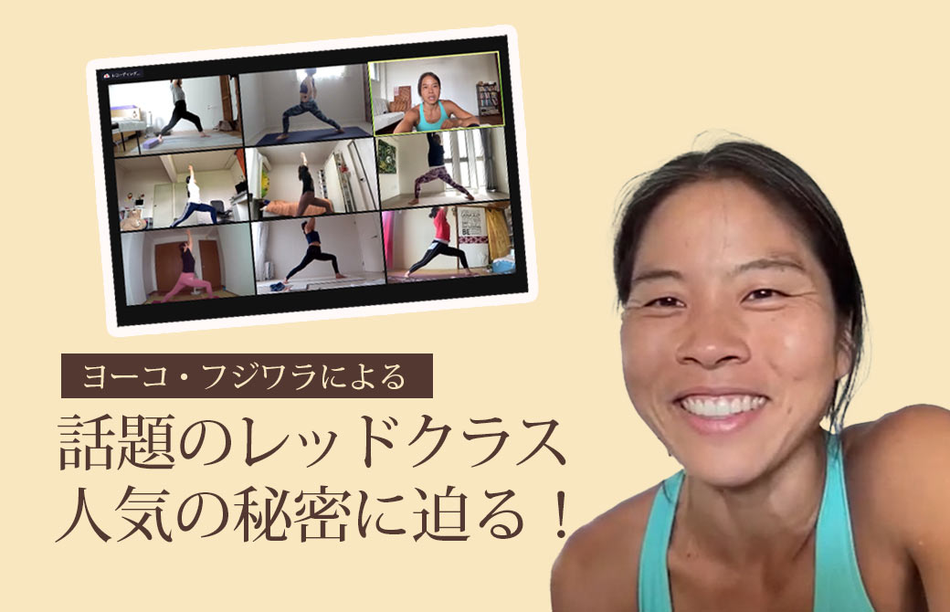 ヨーコ・フジワラレッドクラス