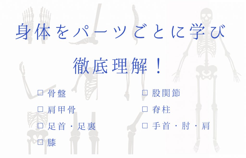 骨とイラストと身体をパーツごとに徹底理解!という文字