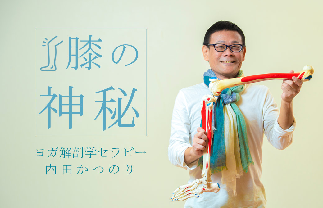 内田先生 膝の神秘