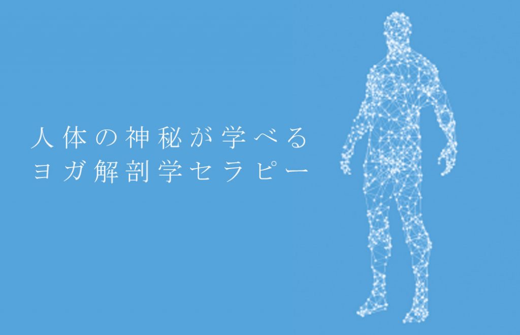 内田先生記事_人体の神秘