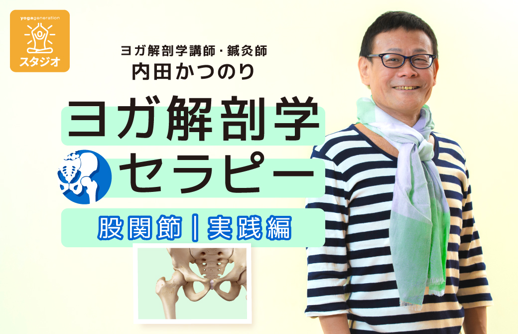 ヨガ解剖学セラピー実践編|股関節