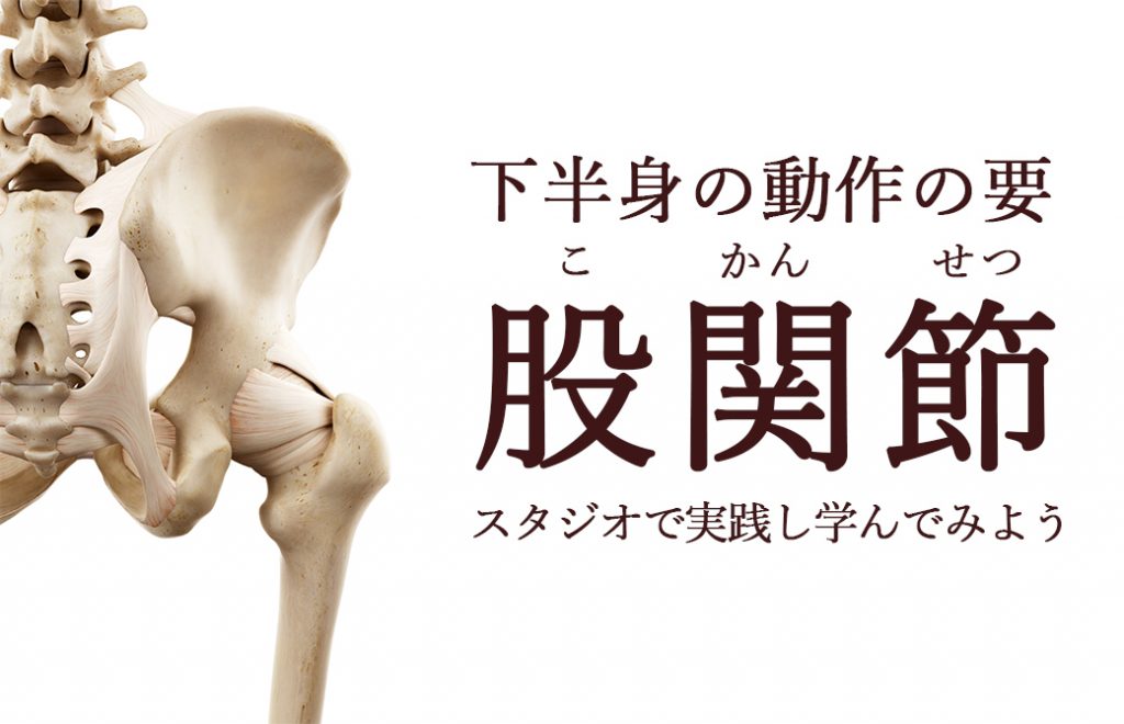 下半身の動作の要股関節