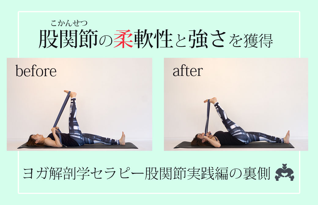 股関節実践編