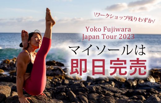 ヨーコ・フジワラマイソールは完売
