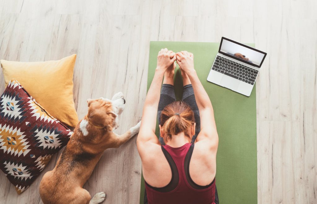 右の足元にPCを置き、左側に犬が座っている間でヨガマットの上で前屈している女性