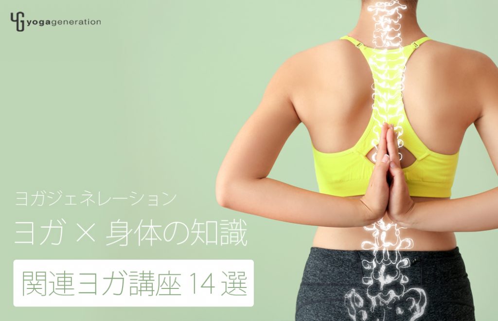 ヨガ×体の知識 関連ヨガ講座14選