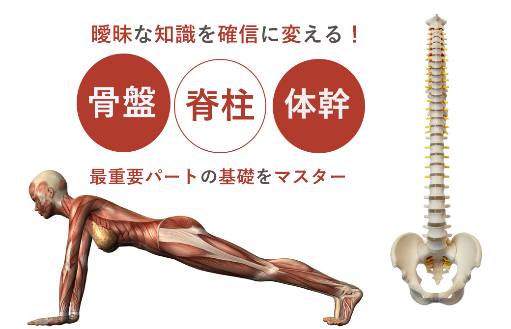 ヨガ・ピラティスの融合