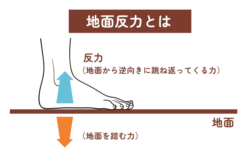 地面反力